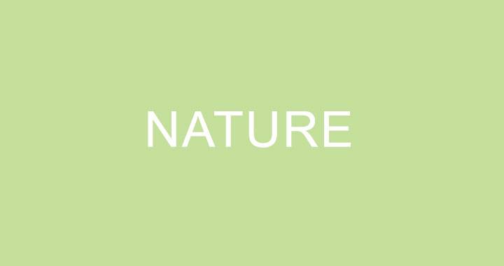 Call For Artists Nature 2024 The International Exhibition   9004 